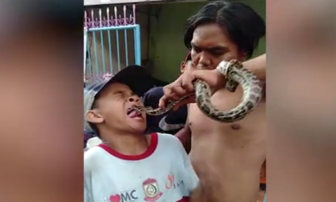 ΣΟΚ: Η στιγμή που φίδι δαγκώνει τη γλώσσα παιδιού