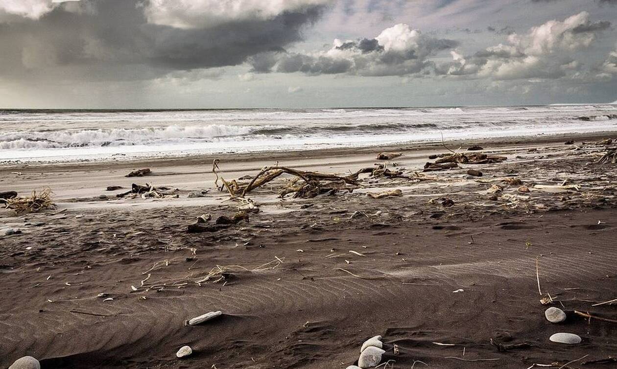 Τρόμος σε παραλία: «Πάγωσαν» με αυτό που ξέβρασε η θάλασσα (pics)