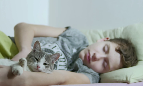 Βίντεο: Όταν η γάτα ξυπνάει το πιτσιρίκι!