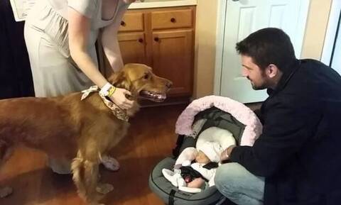 Βίντεο: Σκύλος υποδέχεται το νεογέννητο στο σπίτι και η αντίδρασή του θα σε… γονατίσει!