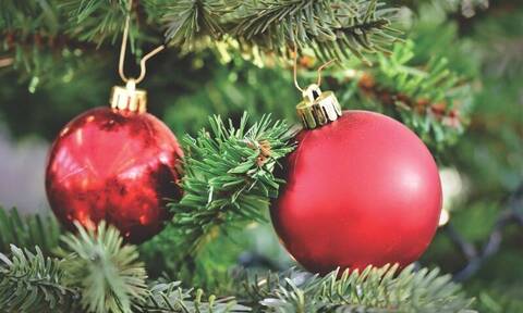 Χριστούγεννα: Έχετε πραγματικό δέντρο στο σαλόνι σας; - Μεγάλη προσοχή, κινδυνεύετε!