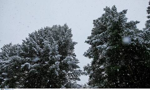 Καιρός Χριστούγεννα: Ψυχρή εισβολή με καταιγίδες, μποφόρ και χιόνια
