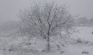 Έκτακτο δελτίο επιδείνωσης του καιρού: Η «Ζηνοβία» φέρνει χιόνια, θυελλώδεις ανέμους και πολύ κρύο