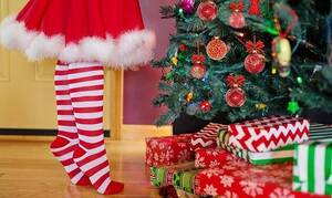 Η ιστορία του Χριστουγεννιάτικου Δέντρου που κοσμεί τα σπίτια μας κάθε Πρωτοχρονιά