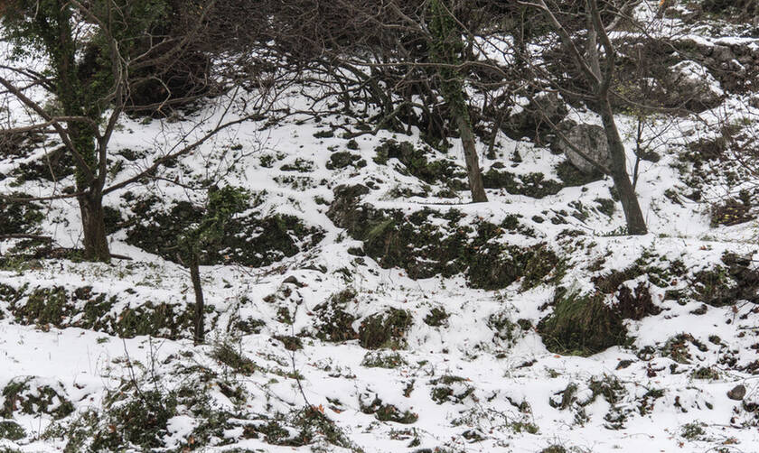 Κακοκαιρία: Χωρίς ρεύμα χωριά της Θήβας - Έντονη χιονόπτωση στην περιοχή
