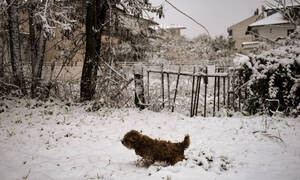 Καιρός – Προειδοποίηση Καλλιάνου: Πλησιάζει η ψυχρή εισβολή – Θα χιονίσει και στην Αθήνα 
