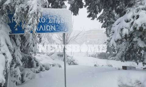 To Newsbomb.gr στα Βίλια: «Πέπλο» χιονιού σκέπασε το ορεινό χωριό της Αττικής (pics+vids)