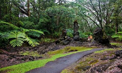 Χαβάη: Το δάσος από λάβα που «κόβει» την ανάσα