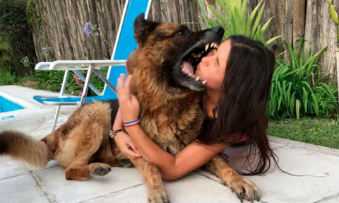 Εικόνες - ΣΟΚ: Έβγαζε selfie με το σκύλο και την κατακρεούργησε (pics)