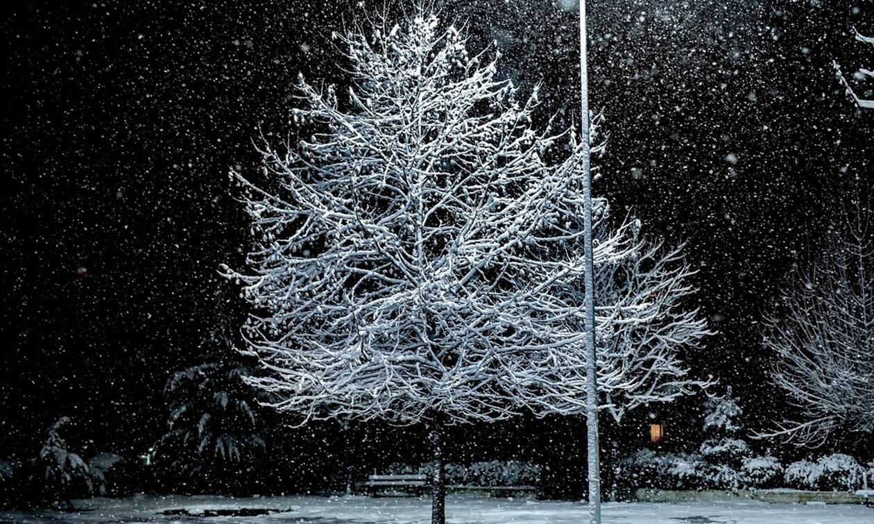 Καιρός: Κρύο και σφοδρή χιονόπτωση στην Πάρνηθα (vid)