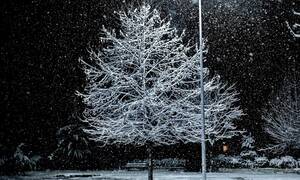 Καιρός - ΤΩΡΑ: Παγωνιά και νέα χιονόπτωση στην Πάρνηθα - Δείτε το βίντεο