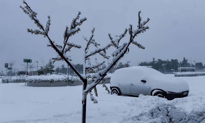 ΤΩΡΑ: Χιονίζει στην Αττική - Το έστρωσε στην Πάρνηθα