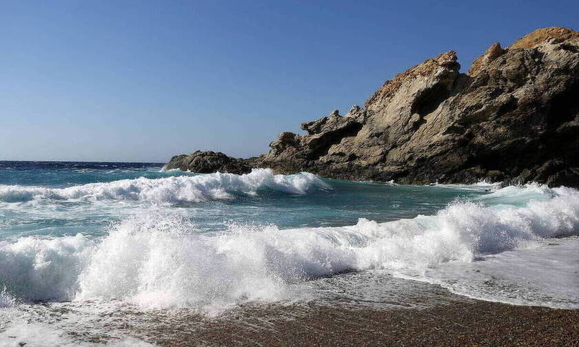 Τερατογένεση! Απόκοσμες εικόνες σε παραλία - Δείτε τι ξέβρασε η θάλασσα