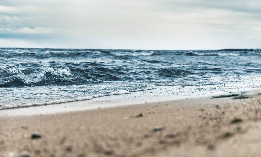 Τεράστιο πλάσμα ξεβράστηκε σε παραλία – Απίστευτες εικόνες 