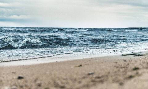 Φρίκη σε παραλία: Δείτε τι ξέβρασε η θάλασσα (pics)