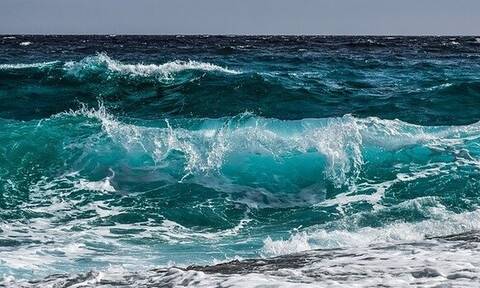 Φρίκη σε παραλία: Δείτε τι ξέβρασε η θάλασσα - Πανικός στους λουόμενους