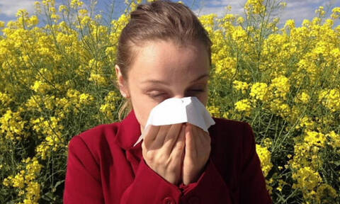 Αλλεργική ρινίτιδα: Πώς γίνεται η διάγνωση και πώς θεραπεύουμε τα συμπτώματα