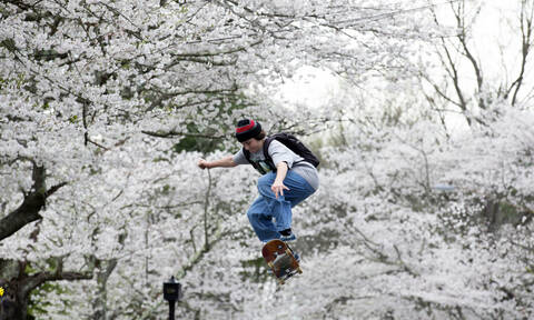 Οι κερασιές άνθισαν και οι εικόνες από την Ιαπωνία μας γεμίζουν ελπίδα...
