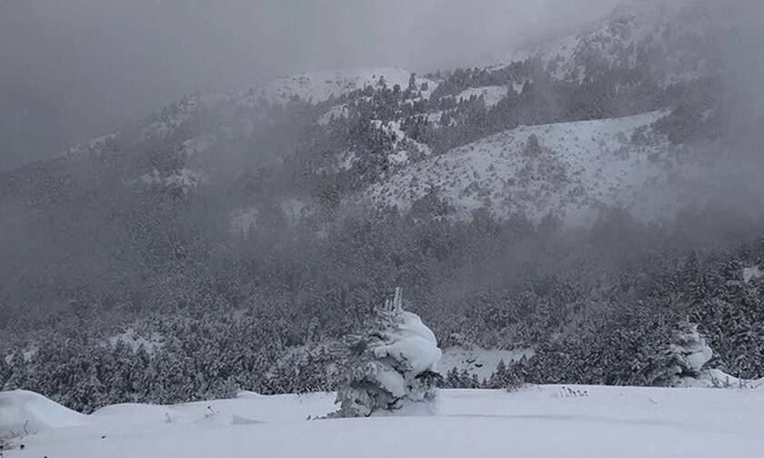 Καιρός: Στα «λευκά» πολλές περιοχές της Ελλάδας - Πού θα χιονίσει σήμερα (pics&vids)