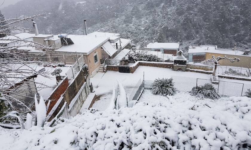«Ντύθηκαν στα λευκά» τα Ιωάννινα - Πυκνό χιόνι στα ορεινά της Ηπείρου