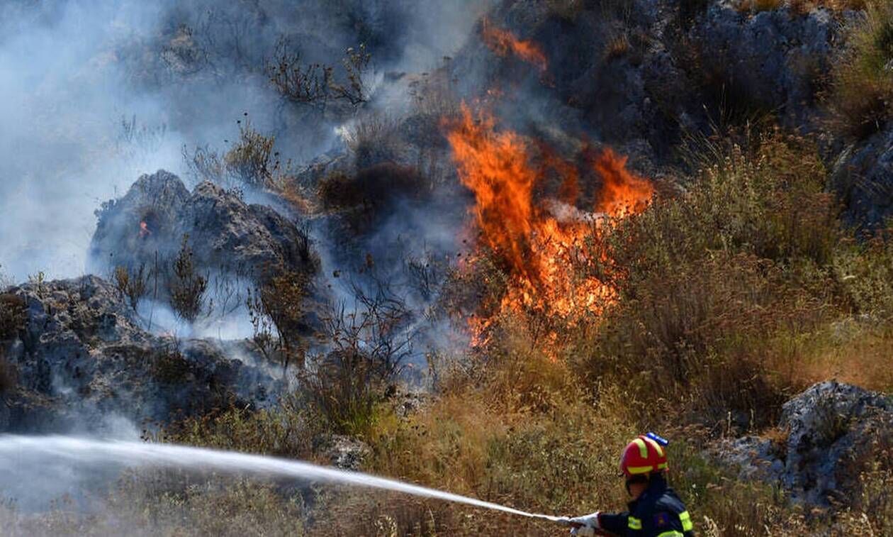 Συναγερμός στη Φθιώτιδα: Ανεξέλεγκτη πυρκαγιά σε περιοχή της Λοκρίδας