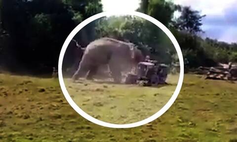 Αγρότης πάει με το τρακτέρ στο χωράφι του! Αυτό που του έκανε ελέφαντας δεν το περίμενε ποτέ (vid)