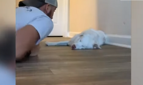 Το βίντεο που ραγίζει καρδιές: Δείτε τι κάνει στην τυφλή και κωφή σκυλίτσα του