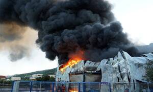 Αττική: Φωτιά σε χώρο ανακύκλωσης στη Μάνδρα