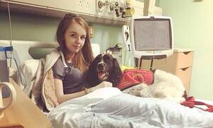 Αυτός ο σκύλος φροντίζει ένα 21χρονο κορίτσι με αναπηρία - Είναι οι καλύτεροι φίλοι (pics) 