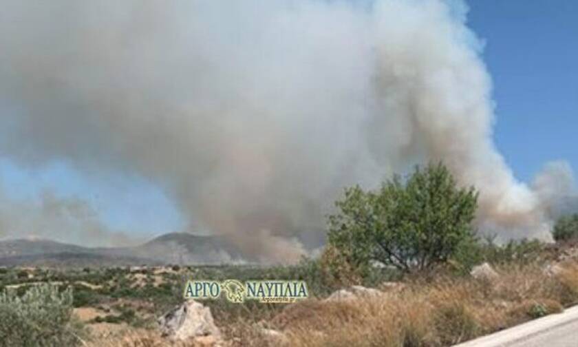 Wildfire breaks out in forest in the municipality of Epidaurus