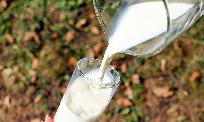Το κατσικίσιο γάλα είναι πιο υγιεινό για τα παιδιά; 