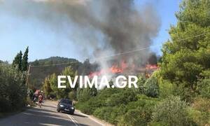 Μεγάλη φωτιά ΤΩΡΑ στην Εύβοια - Κοντά σε σπίτια οι φλόγες