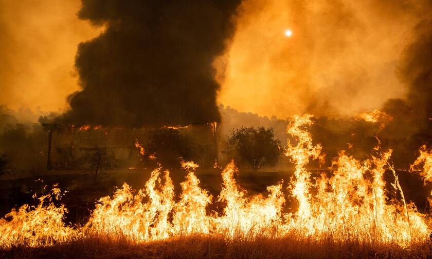 ΗΠΑ: Μαίνονται οι πυρκαγιές στην Καλιφόρνια - Εντυπωσιακό βίντεο με ΙΧ που περνάει τις φλόγες
