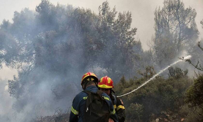 Οριοθετήθηκε η πυρκαγιά που ξέσπασε στην Ελασσόνα