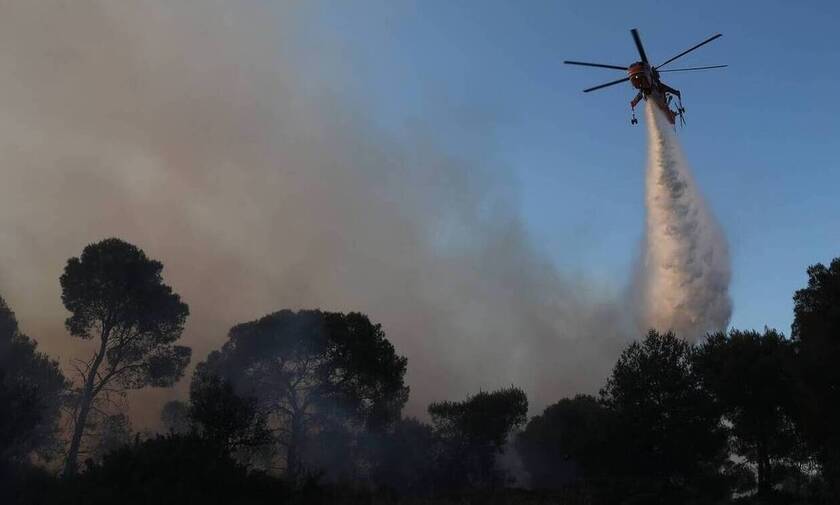 Φωτιά στη Μάνη: Συνεχίζεται η μάχη με τις φλόγες – Ξεκίνησαν ρίψεις τα εναέρια μέσα