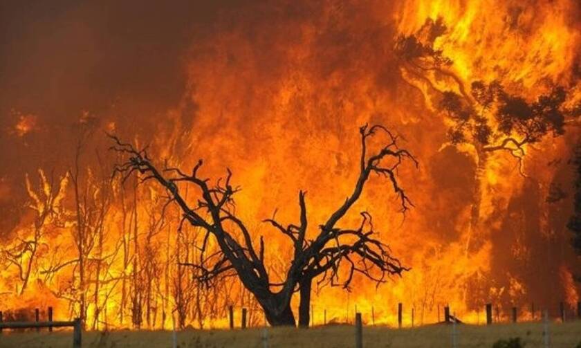 Δεκατρία χρόνια από τις φονικές φωτιές στην Ηλεία: Το χρονικό της ανείπωτης εθνικής τραγωδίας 