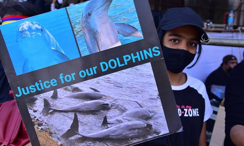 Μαυρίκιος: Αντικυβερνητική διαδήλωση μετά την πετρελαιοκηλίδα και τον θάνατο 40 δελφινιών