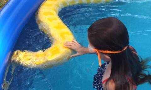 Αδιανόητο: Κοριτσάκι κολυμπάει στην πισίνα μαζί με έναν… πύθωνα! (vid)