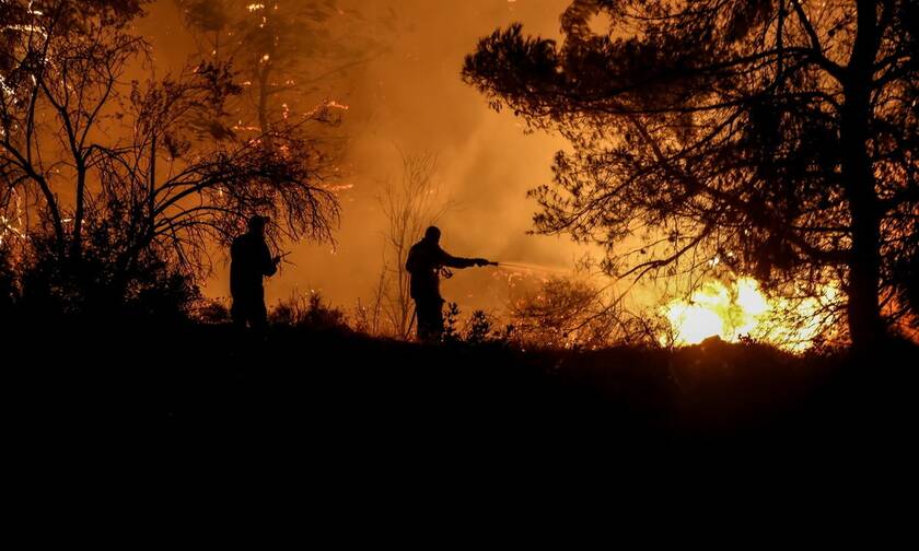 Φωτιά στη Λάρισα: Πυρκαγιά σε δασική έκταση στην περιοχή Κοκκίνω Φαρσάλων