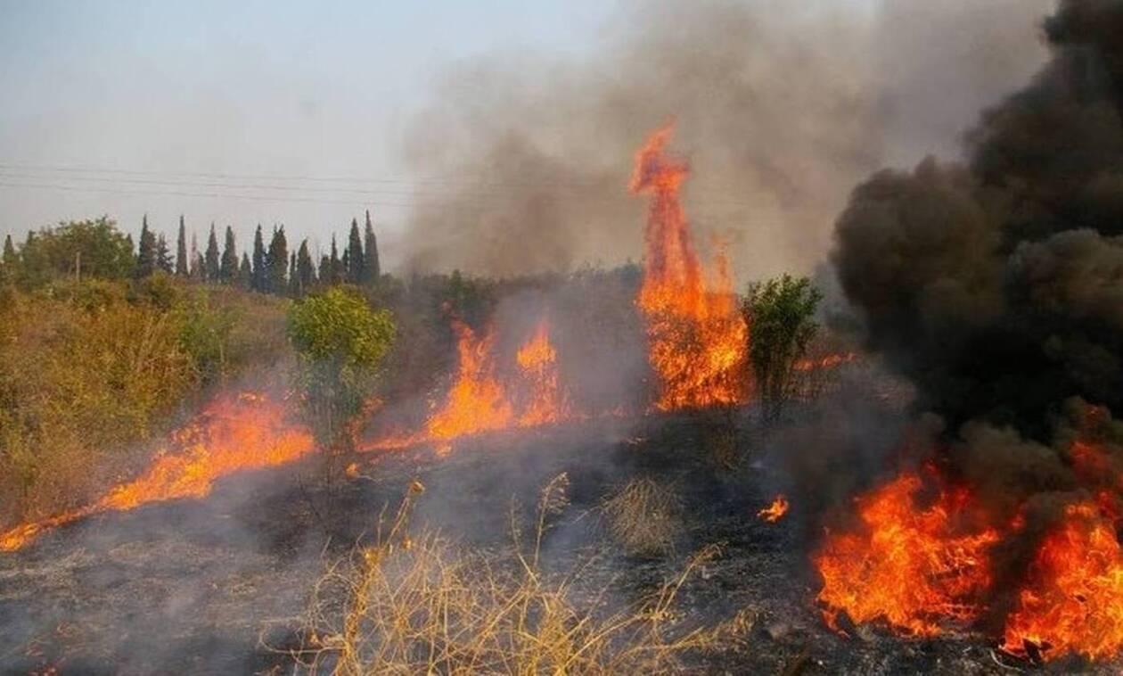 Φωτιά ΤΩΡΑ στη Νεμέα Κορινθίας: Επιχειρούν ισχυρές δυνάμεις 