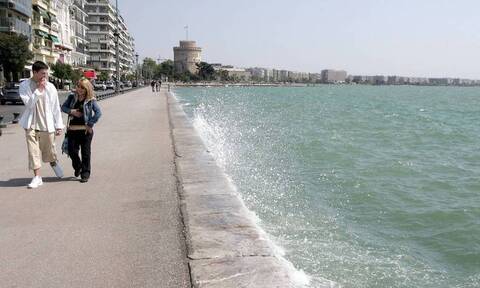 Θεσσαλονίκη: «Πήδημα θανάτου» για δεκάδες σαρδέλες στην παραλία 