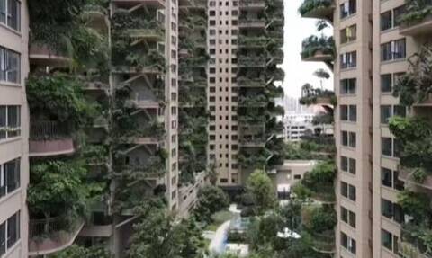 Οι κρεμαστοί κήποι της Κίνας: Διαφημίστηκαν σαν παράδεισος αλλά κατέληξαν… κόλαση – Δείτε γιατί