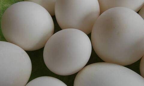 Αγόρασε αυγά από σούπερ μάρκετ - «Τρελάθηκε» μ’ αυτό που βρήκε (vid)
