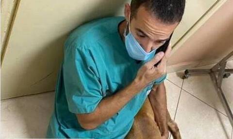 Χανιά: Αναζητούν τον άνδρα που βασάνισε σκύλο - Αυτός είναι ο κτηνίατρος-ήρωας 