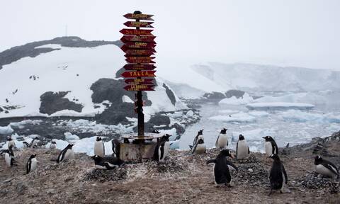 Ο κορονοϊός έφτασε στην Ανταρκτική: 36 κρούσματα σε στρατιωτική βάση 