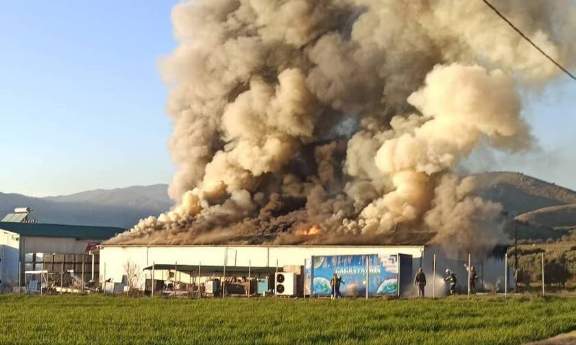 Τρίκαλα: Μεγάλη πυρκαγιά σε εργοστάσιο μεγάλης εταιρείας αλλαντικών
