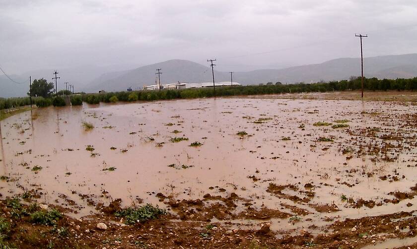 Κακοκαιρία Ηλεία: «Βούλιαξε» ο δήμος Ανδρίτσαινας - Κρεστένων - Πλημμύρες και κατολισθήσεις