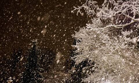 Κακοκαιρία «Μήδεια»: Χιόνισε σε Οθωνούς και Λευκίμμη