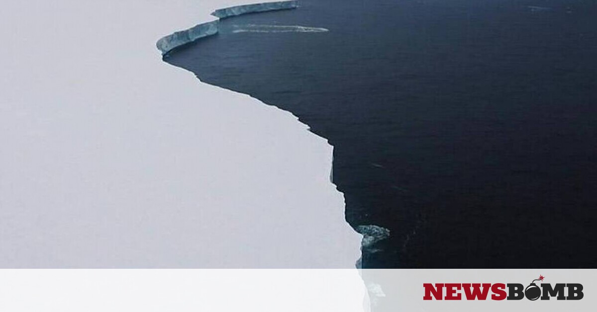 Απίστευτη ανακάλυψη: Τι βρήκαν στους θαλάσσιους πάγους της Ανταρκτικής – Newsbomb – Ειδησεις