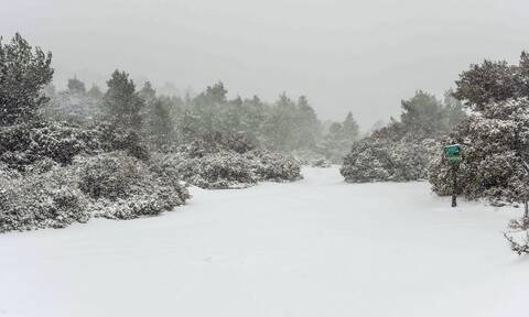 Κακοκαιρία «Μήδεια»: Με σφοδρές χιονοπτώσεις και η Τρίτη - Δύσκολες οι επόμενες ώρες